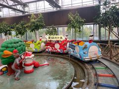 -南宫五洲植物乐园