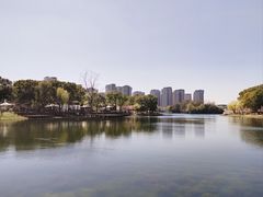 -新江湾城公园