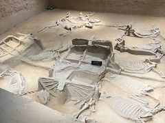 -洛阳周王城天子驾六博物馆