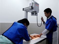 -瑞鹏瑞爱宠物医院·全科·猫科·血液透析中心(龙头寺店)