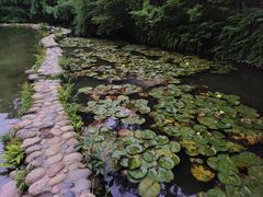 -成都杜甫草堂博物馆