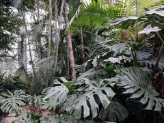 -郑州植物园