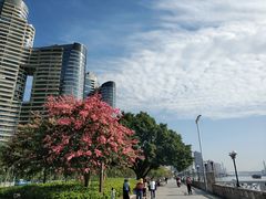 -洲头咀公园