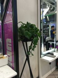 -慕名造型