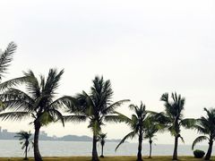 -香洲港码头