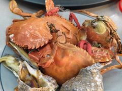 -仙螺岛海鲜自助餐厅(总店)