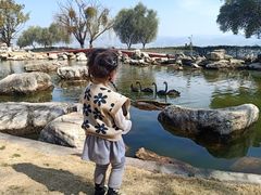 -西昌邛海宾馆