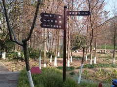 -重庆彩云湖湿地公园