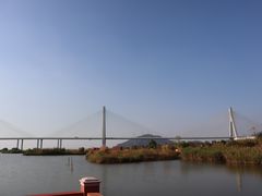 -芒洲湿地公园