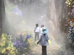 -秦岭终南山世界地质公园翠华山景区