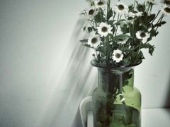 -鹿岛会员店 (龙湖三千集天街店)