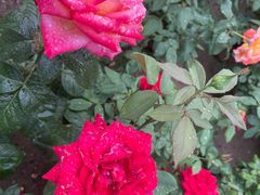 -大望路(地铁站)