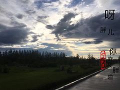 -嘉荫恐龙国家地质公园