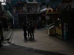 -猫咪博物馆(顶澳仔猫街店)