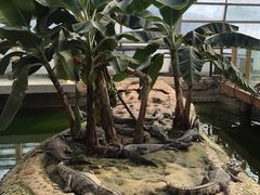 -石家庄市动物园