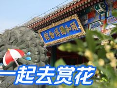 -颐和园
