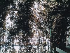 -六朝博物馆