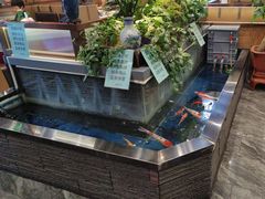 -洞庭家宴·头牌甲鱼(广渠门店)