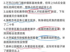 -日照海滨国家森林公园