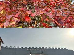 -洛阳市隋唐城遗址植物园