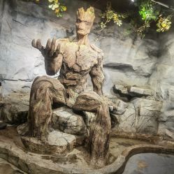 -Zoolung Zoolung动物主题公园(海信广场店)