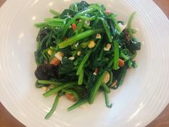 -大眼锅贴饺子(河西店)