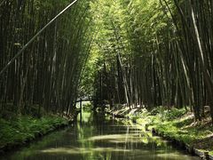 -同里国家湿地公园