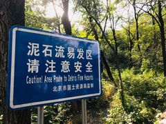 -阳台山自然风景区