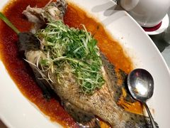 老鼠斑-陶陶居海鲜酒家(新马路店)