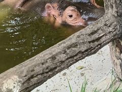 -昆明动物园