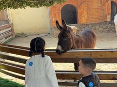 -HERRE·FARM 赫尔露营农场·团建聚会包场