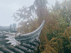 -上海白云观