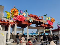 -曹州牡丹园