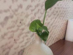-黄氏沥泉·冰粉(玉林店)