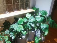 -沐森 •疗愈头疗馆(打浦桥店)
