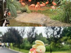 -红山森林动物园