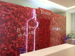 -Yestar艺星医疗美容医院