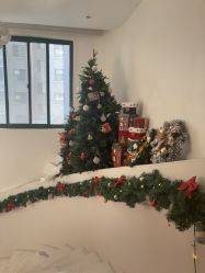 -WENDY·温迪皮肤管理