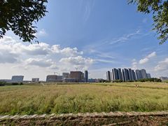 -光明小镇欢乐田园