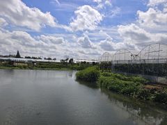 -马陆小张葡萄园农家乐