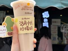 柠檬奶-猫的魔法密林(衣裳街店)