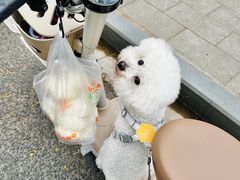 -袁大头包子(光华路店)