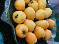 -蘑统田下·野生菌火锅