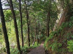 -玉苍山国家森林公园