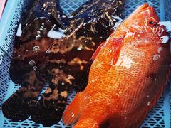 -南沙十九涌渔人码头-南门