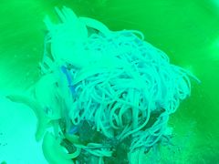 -湘汇概念铁板烧(铁西万达店)