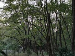 -廊坊市自然公园