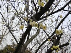 -南通博物苑-崇川人民公园