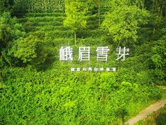 -峨眉山风景名胜区