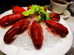 -觀芷隐轩